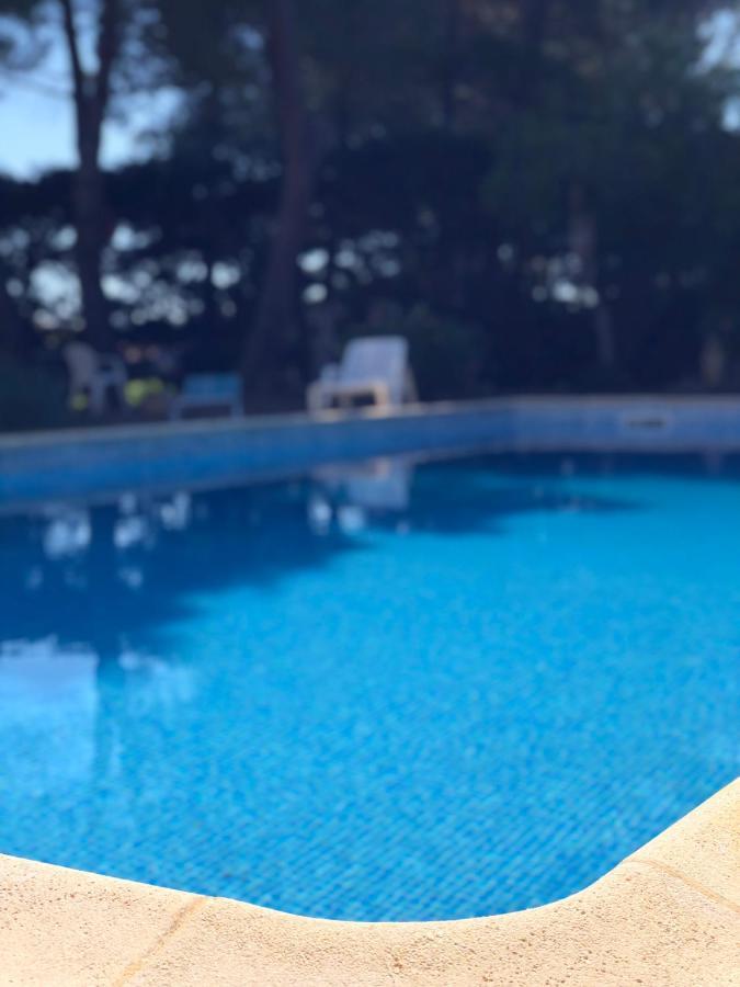 Le Paradis D'anny Rouffiac-d'Aude
